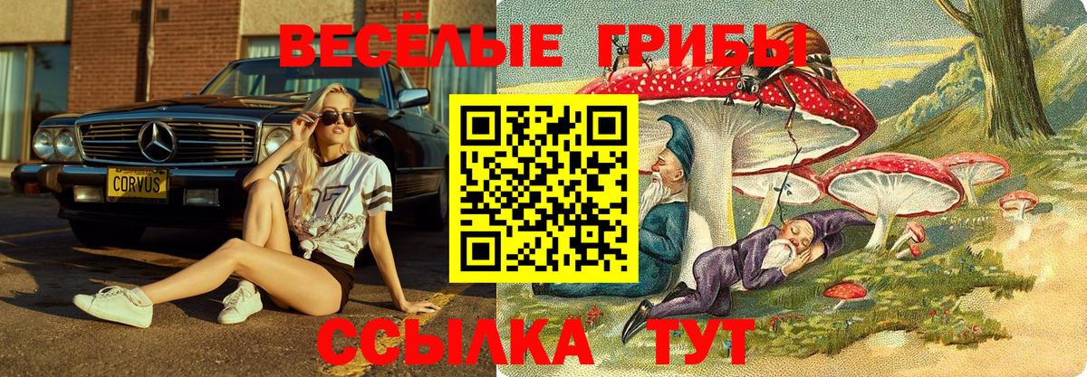 Псилоцибиновые грибы прущие грибы Аша